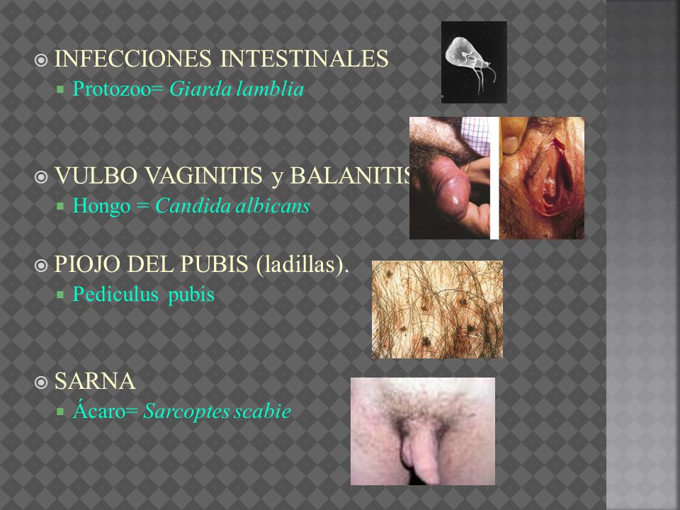 INFECCIONES INTESTINALES