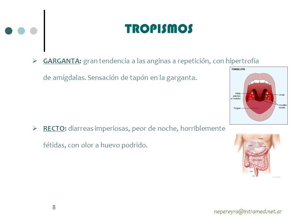 TROPISMOS GARGANTA: gran tendencia a las anginas a repetición, con hipertrofia. de amígdalas. Sensación de tapón en la garganta.