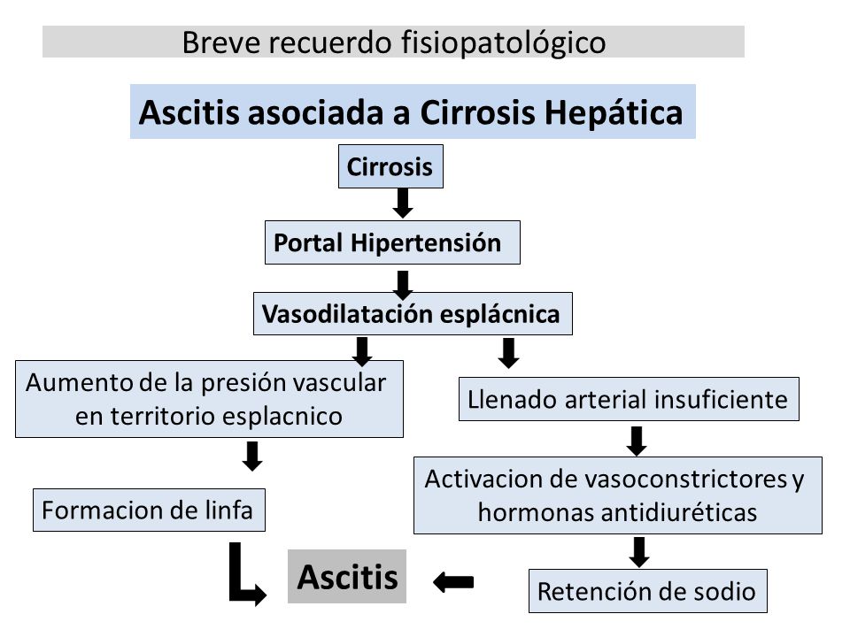 Breve recuerdo fisiopatológico