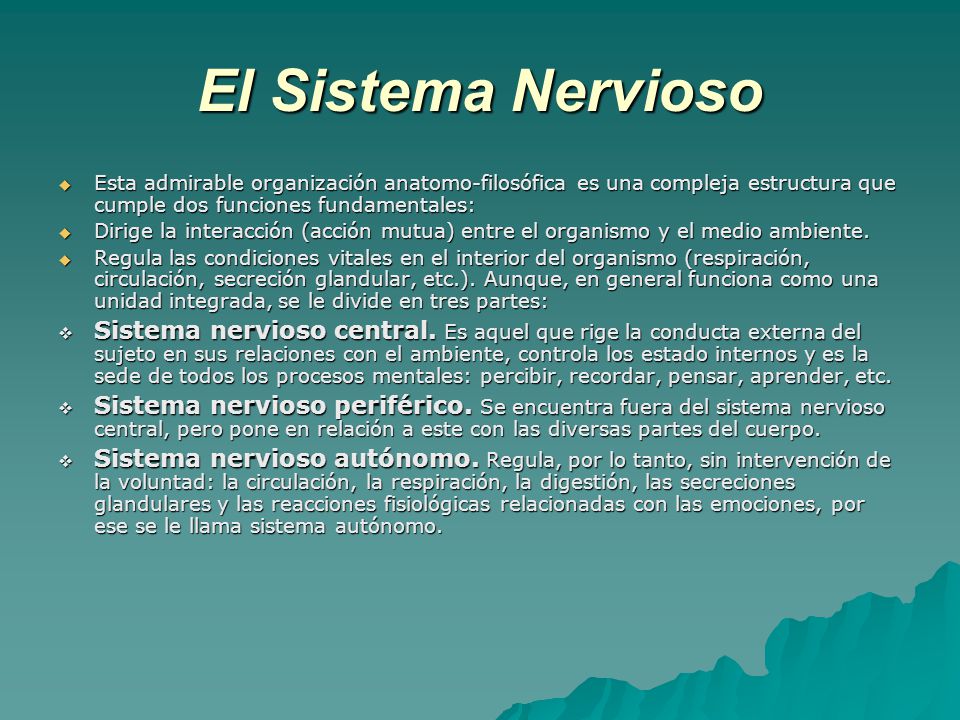 El Sistema Nervioso Esta admirable organización anatomo-filosófica es una compleja estructura que cumple dos funciones fundamentales: