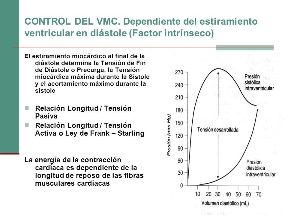 CONTROL DEL VMC. Dependiente del estiramiento ventricular en diástole (Factor intrínseco)
