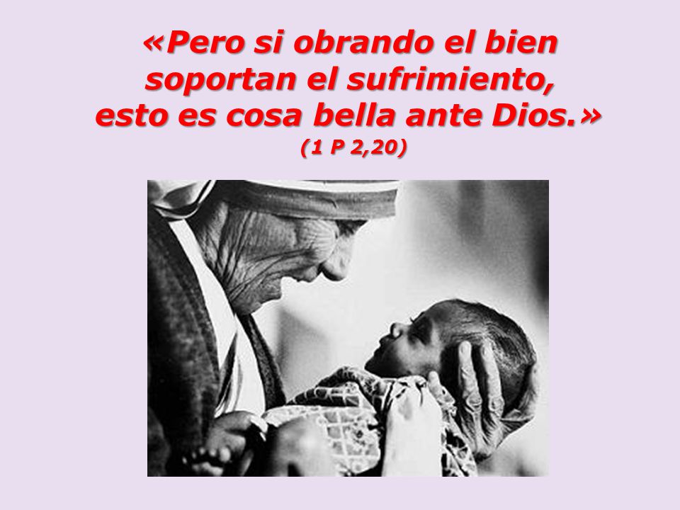 «Pero si obrando el bien soportan el sufrimiento,