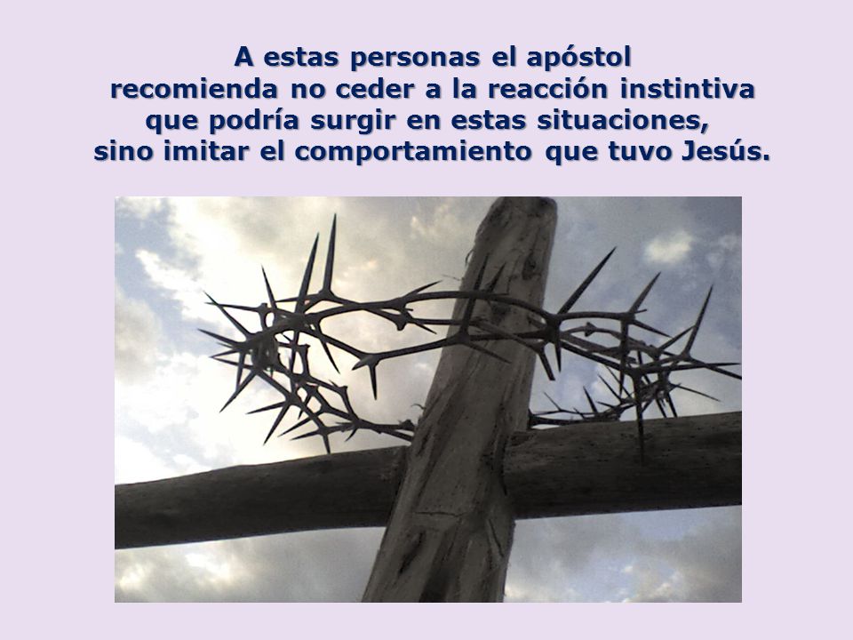 A estas personas el apóstol