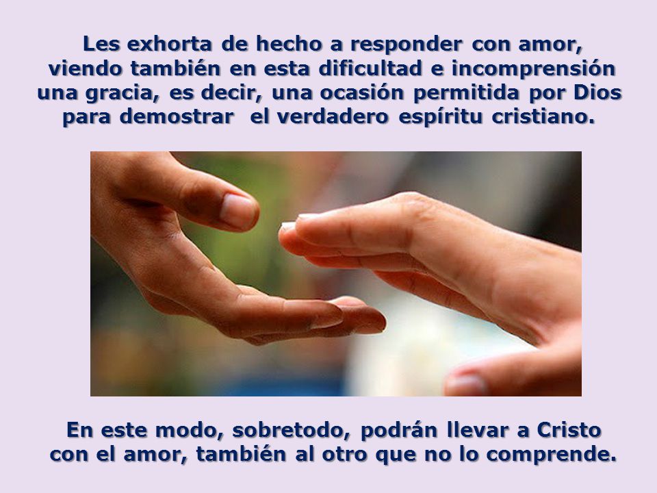 Les exhorta de hecho a responder con amor,