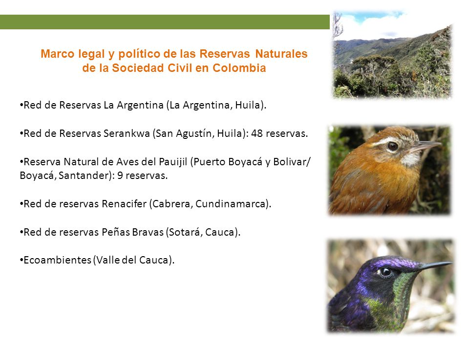 Marco legal y político de las Reservas Naturales de la Sociedad Civil en Colombia