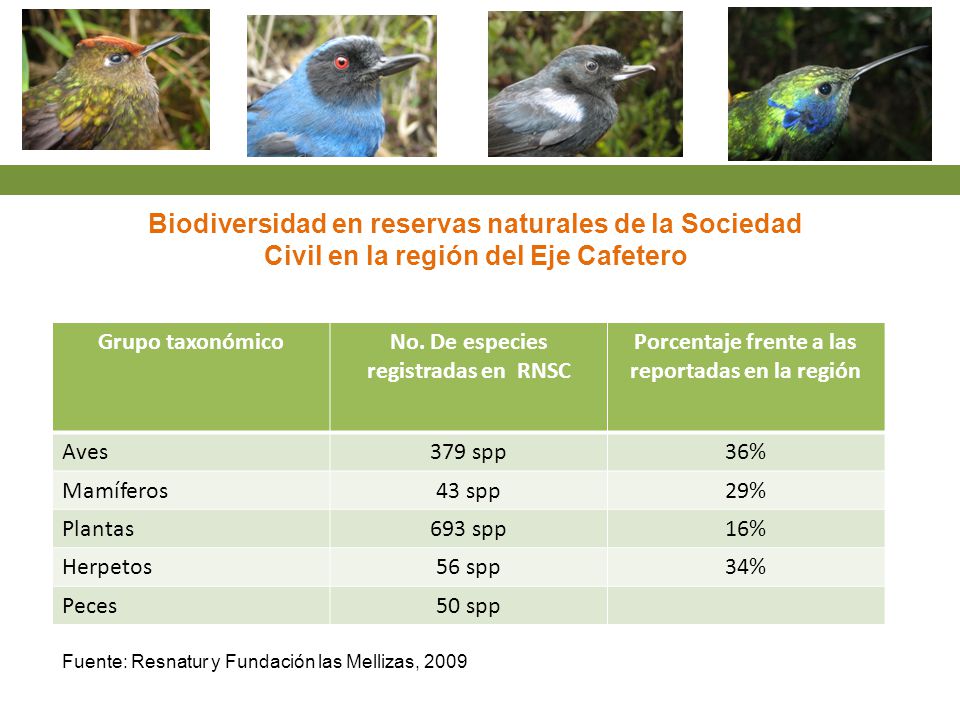 Biodiversidad en reservas naturales de la Sociedad Civil en la región del Eje Cafetero