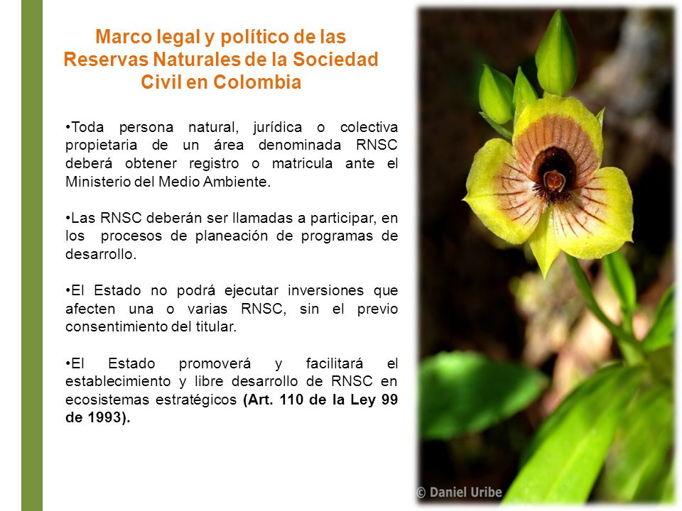 Marco legal y político de las Reservas Naturales de la Sociedad Civil en Colombia