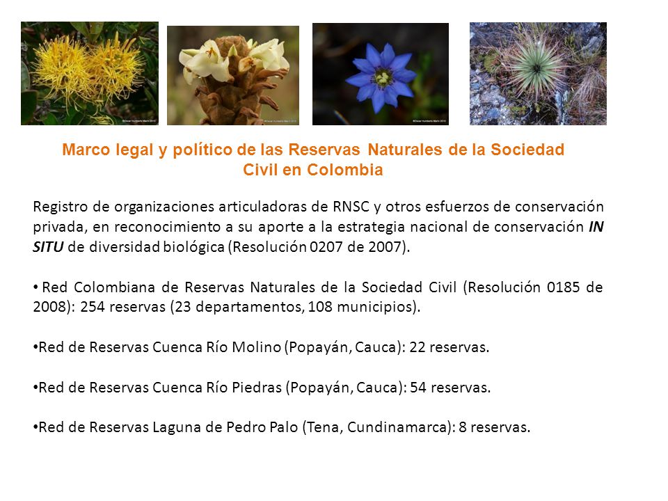 Marco legal y político de las Reservas Naturales de la Sociedad Civil en Colombia