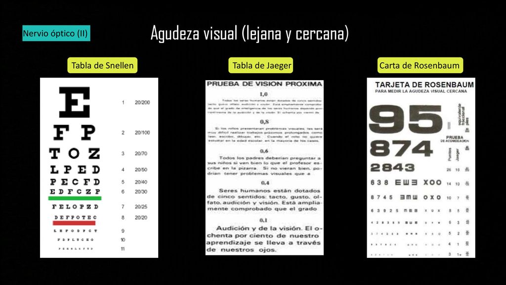 Metodolog a del examen neurol gico ppt descargar