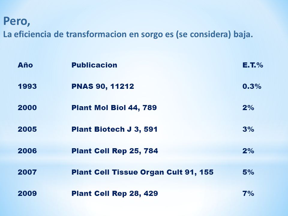 Pero, La eficiencia de transformacion en sorgo es (se considera) baja.