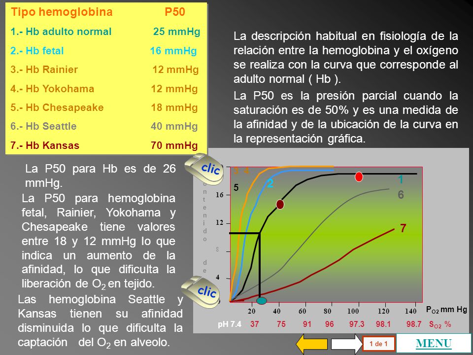 Tipo hemoglobina P Hb adulto normal 25 mmHg. 2.- Hb fetal 16 mmHg.