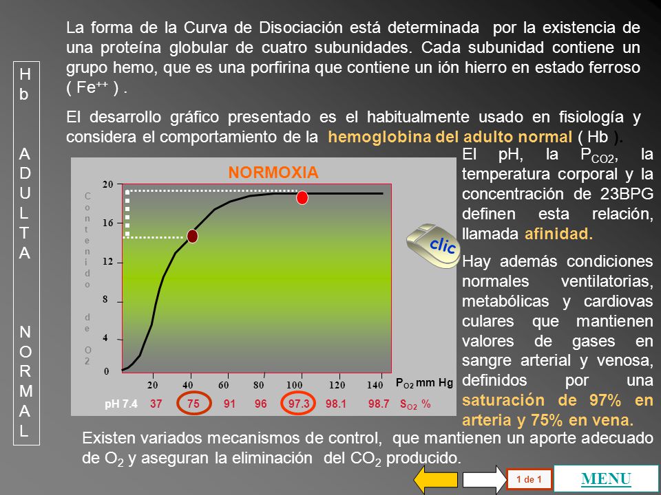La forma de la Curva de Disociación está determinada por la existencia de una proteína globular de cuatro subunidades. Cada subunidad contiene un grupo hemo, que es una porfirina que contiene un ión hierro en estado ferroso ( Fe++ ) .