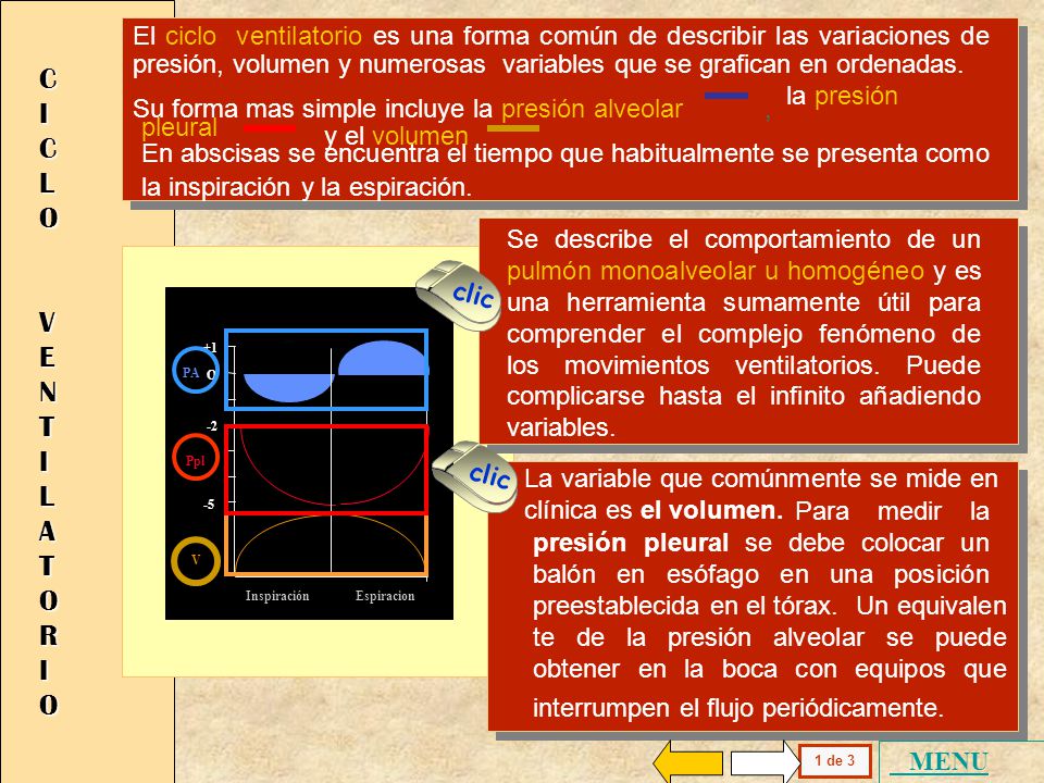 El ciclo ventilatorio es una forma común de describir las variaciones de presión, volumen y numerosas variables que se grafican en ordenadas.