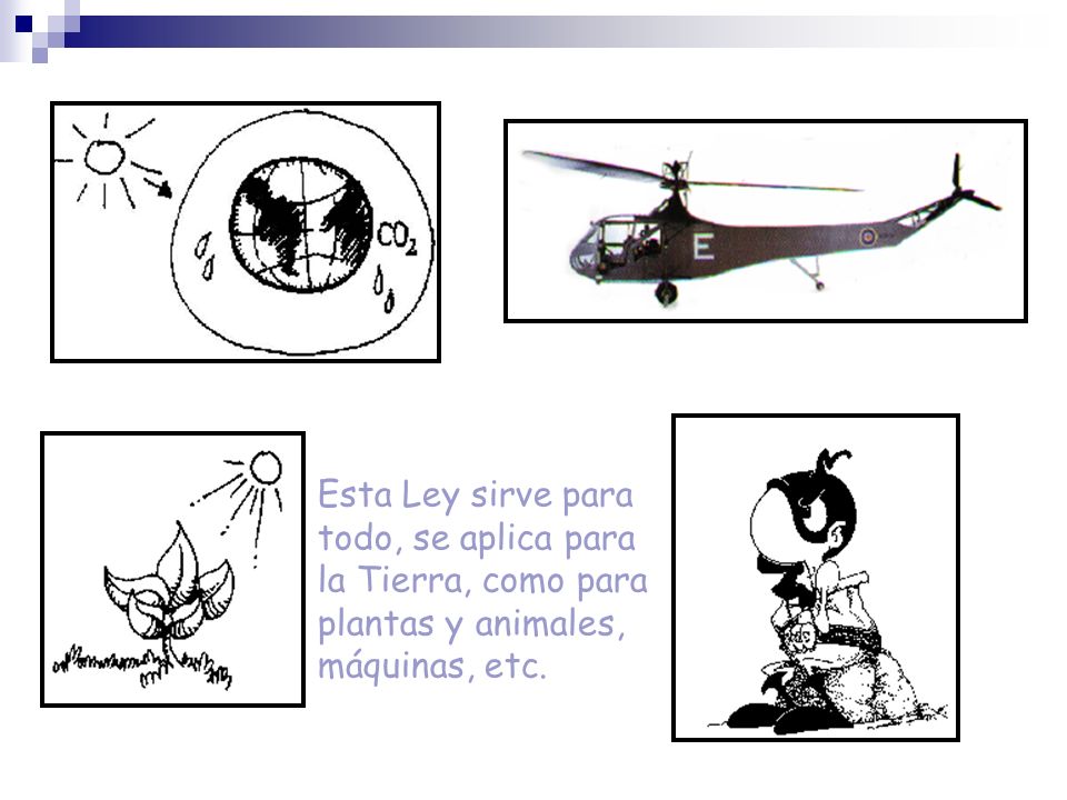 Esta Ley sirve para todo, se aplica para la Tierra, como para plantas y animales, máquinas, etc.