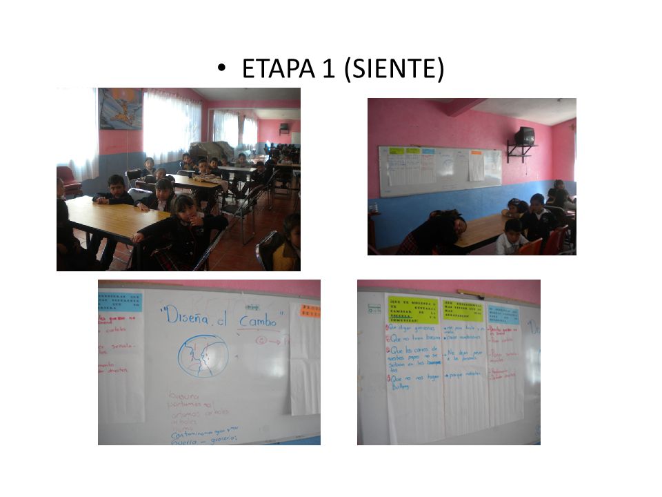 ETAPA 1 (SIENTE)