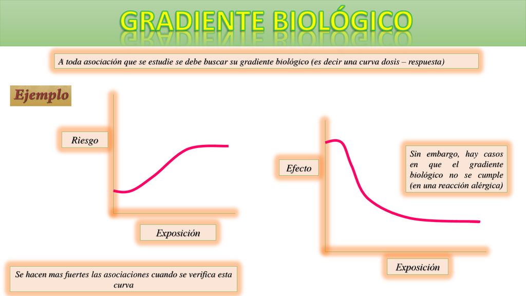 Se hacen mas fuertes las asociaciones cuando se verifica esta curva