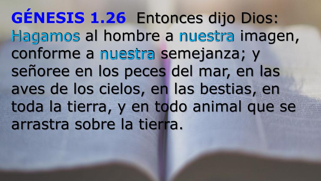 GÉNESIS 1.26 Entonces dijo Dios: Hagamos al hombre a nuestra imagen, conforme a nuestra semejanza; y señoree en los peces del mar, en las aves de los cielos, en las bestias, en toda la tierra, y en todo animal que se arrastra sobre la tierra.