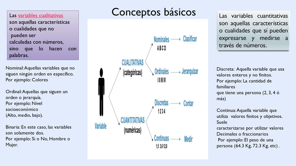 Conceptos básicos Las variables cualitativas son aquellas características. o cualidades que no. pueden ser.