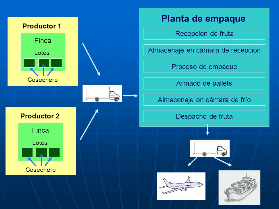 Planta de empaque Productor 1 Recepción de fruta Finca