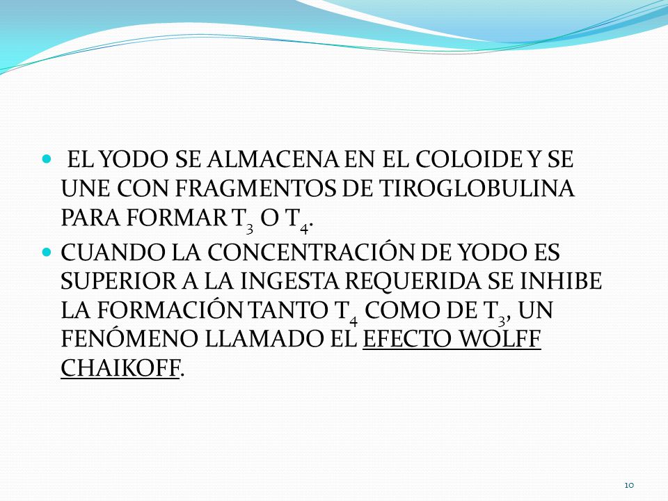 EL YODO SE ALMACENA EN EL COLOIDE Y SE UNE CON FRAGMENTOS DE TIROGLOBULINA PARA FORMAR T3 O T4.