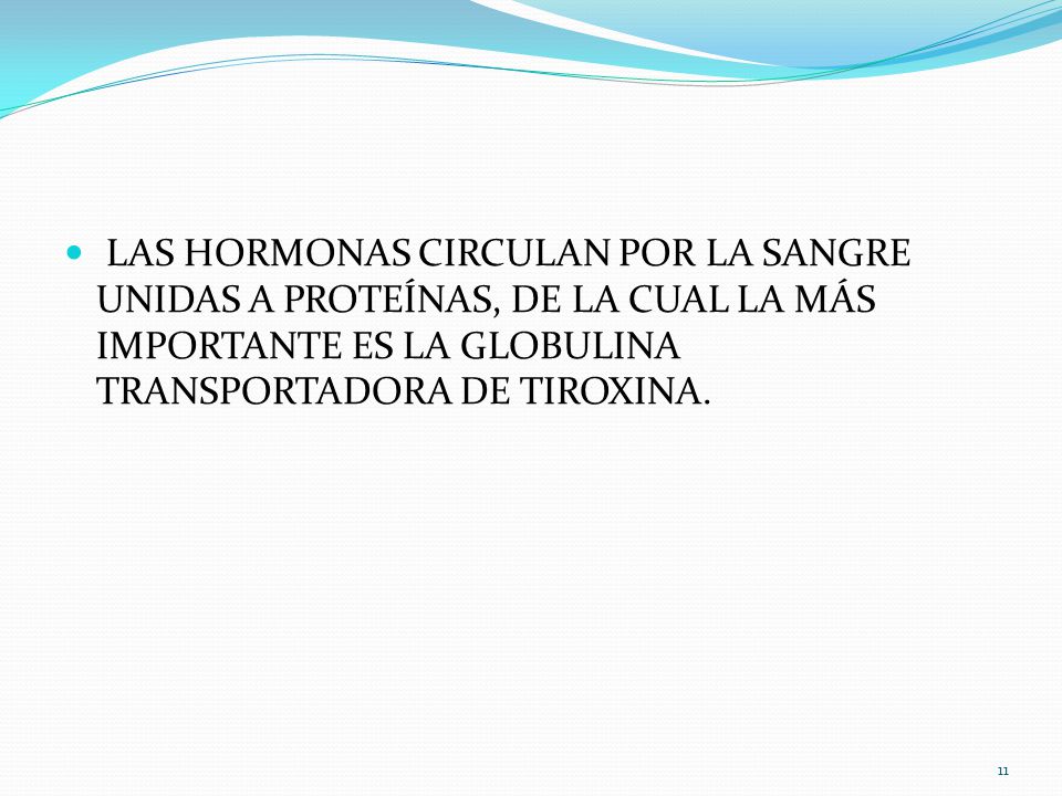 LAS HORMONAS CIRCULAN POR LA SANGRE UNIDAS A PROTEÍNAS, DE LA CUAL LA MÁS IMPORTANTE ES LA GLOBULINA TRANSPORTADORA DE TIROXINA.