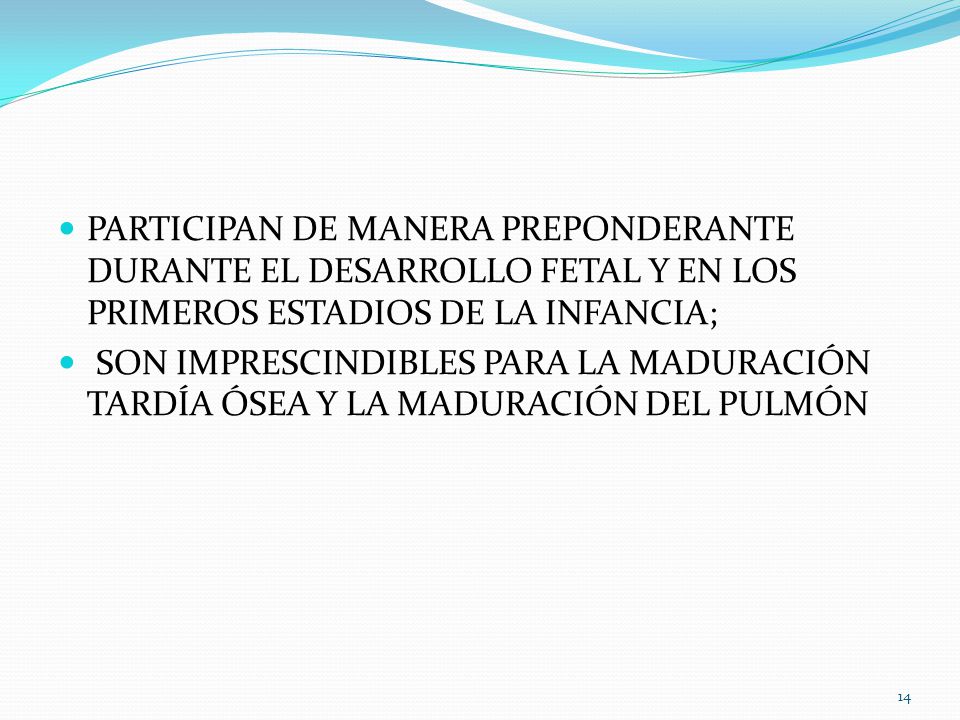 PARTICIPAN DE MANERA PREPONDERANTE DURANTE EL DESARROLLO FETAL Y EN LOS PRIMEROS ESTADIOS DE LA INFANCIA;