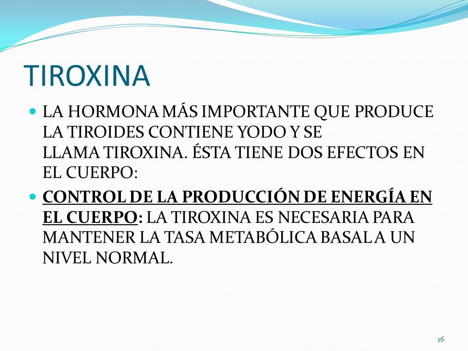 TIROXINA LA HORMONA MÁS IMPORTANTE QUE PRODUCE LA TIROIDES CONTIENE YODO Y SE LLAMA TIROXINA. ÉSTA TIENE DOS EFECTOS EN EL CUERPO: