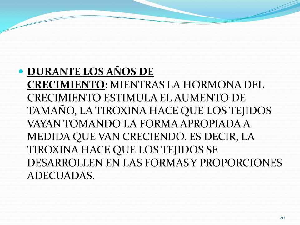 DURANTE LOS AÑOS DE CRECIMIENTO: MIENTRAS LA HORMONA DEL CRECIMIENTO ESTIMULA EL AUMENTO DE TAMAÑO, LA TIROXINA HACE QUE LOS TEJIDOS VAYAN TOMANDO LA FORMA APROPIADA A MEDIDA QUE VAN CRECIENDO.