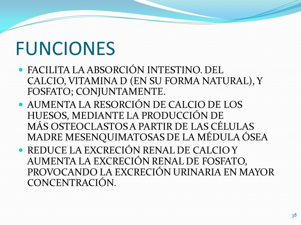 FUNCIONES FACILITA LA ABSORCIÓN INTESTINO. DEL CALCIO, VITAMINA D (EN SU FORMA NATURAL), Y FOSFATO; CONJUNTAMENTE.
