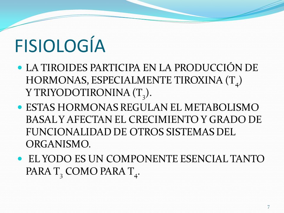 FISIOLOGÍA LA TIROIDES PARTICIPA EN LA PRODUCCIÓN DE HORMONAS, ESPECIALMENTE TIROXINA (T4) Y TRIYODOTIRONINA (T3).