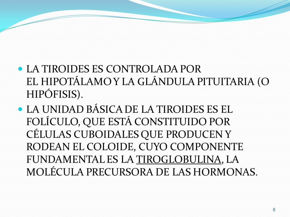 LA TIROIDES ES CONTROLADA POR EL HIPOTÁLAMO Y LA GLÁNDULA PITUITARIA (O HIPÓFISIS).