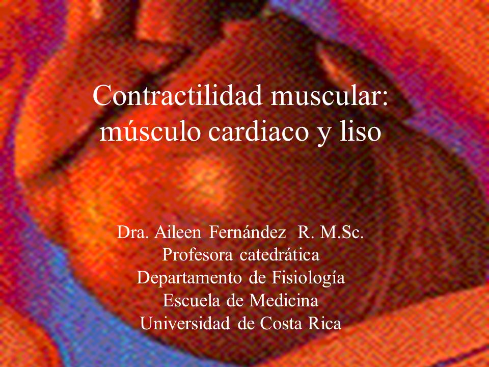 Contractilidad muscular: músculo cardiaco y liso
