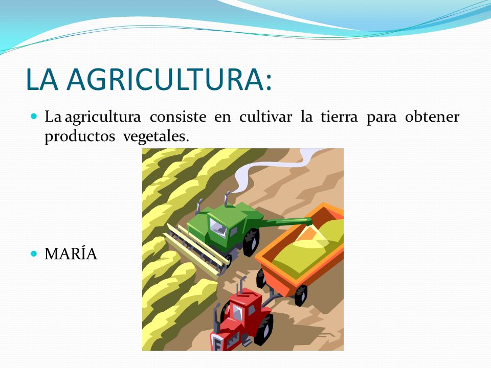 LA AGRICULTURA: La agricultura consiste en cultivar la tierra para obtener productos vegetales.