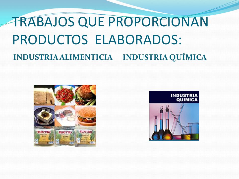 TRABAJOS QUE PROPORCIONAN PRODUCTOS ELABORADOS: