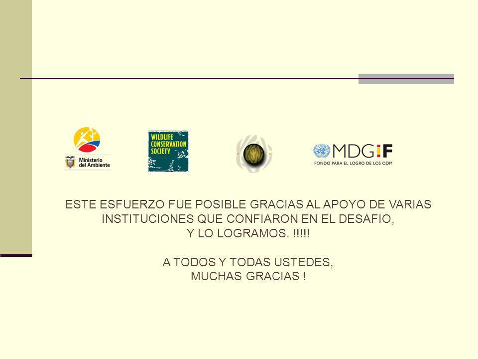 ESTE ESFUERZO FUE POSIBLE GRACIAS AL APOYO DE VARIAS INSTITUCIONES QUE CONFIARON EN EL DESAFIO,