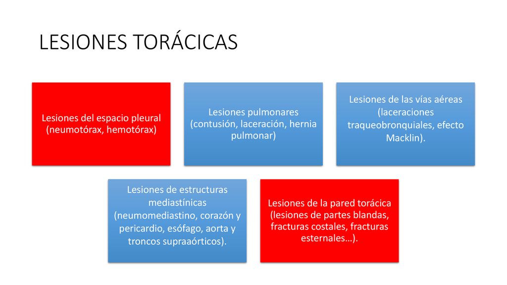 LESIONES TORÁCICAS Lesiones del espacio pleural (neumotórax, hemotórax) Lesiones pulmonares (contusión, laceración, hernia pulmonar)