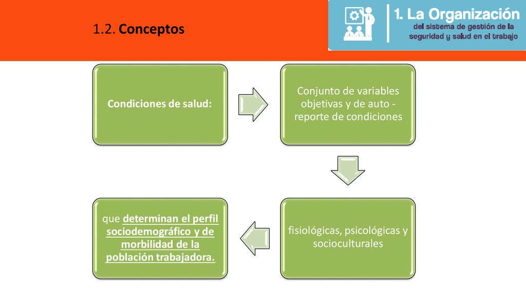 1.2. Conceptos Conjunto de variables objetivas y de auto - reporte de condiciones. Condiciones de salud: