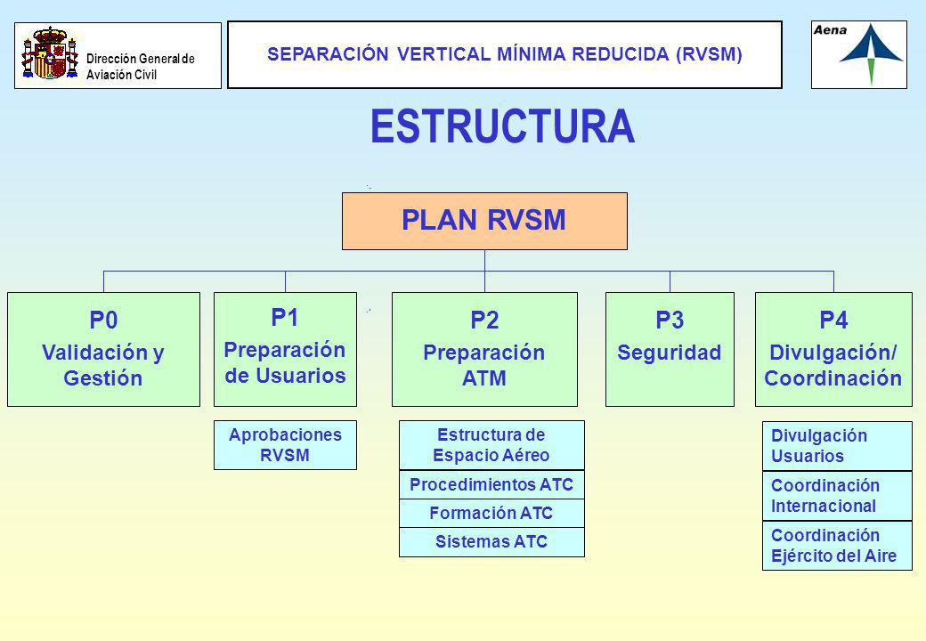 ESTRUCTURA PLAN RVSM P0 P1 P2 P3 P4 Validación y Gestión