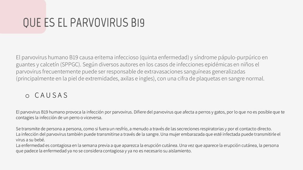 QUE ES EL PARVOVIRUS B19 C A U S A S