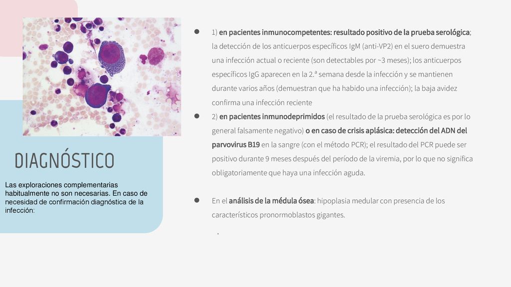 1) en pacientes inmunocompetentes: resultado positivo de la prueba serológica; la detección de los anticuerpos específicos IgM (anti-VP2) en el suero demuestra una infección actual o reciente (son detectables por ~3 meses); los anticuerpos específicos IgG aparecen en la 2.ª semana desde la infección y se mantienen durante varios años (demuestran que ha habido una infección); la baja avidez confirma una infección reciente
