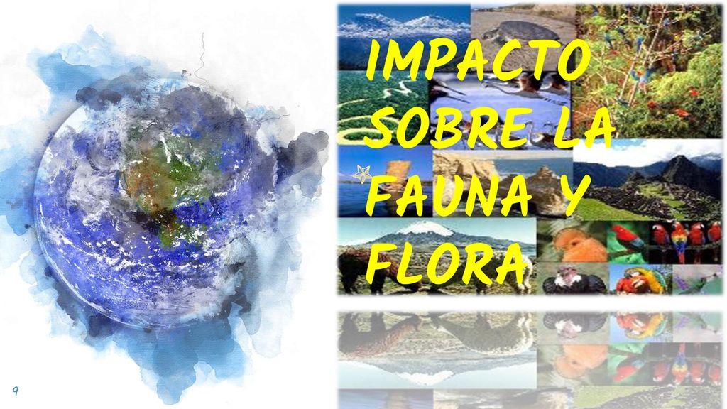 UNIVERSIDAD AMAZÓNICA DE PANDO - ppt descargar UNIVERSIDAD AMAZÓNICA DE PANDO - ppt descargar
