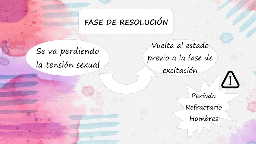 Se va perdiendo la tensión sexual FASE DE RESOLUCIÓN Vuelta al estado