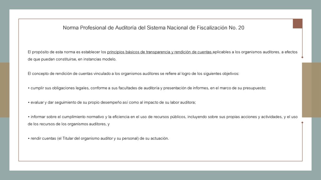 Norma Profesional de Auditoría del Sistema Nacional de Fiscalización No. 20