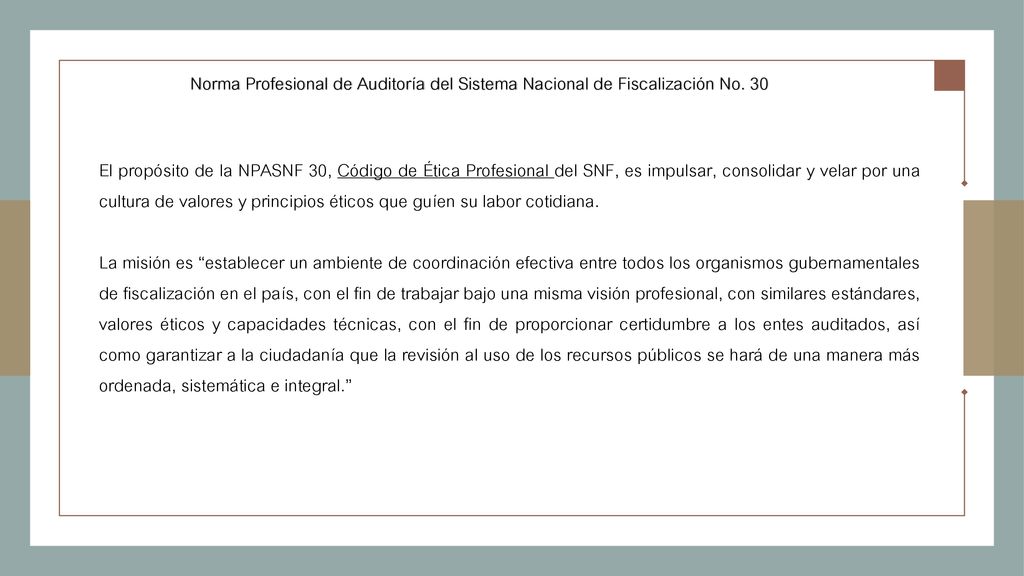 Norma Profesional de Auditoría del Sistema Nacional de Fiscalización No. 30