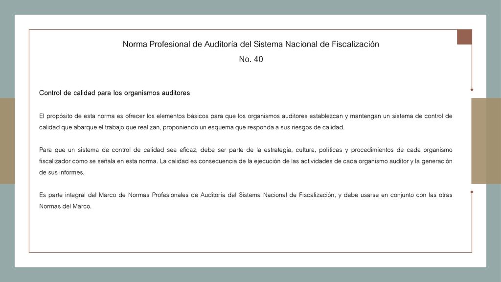 Norma Profesional de Auditoría del Sistema Nacional de Fiscalización