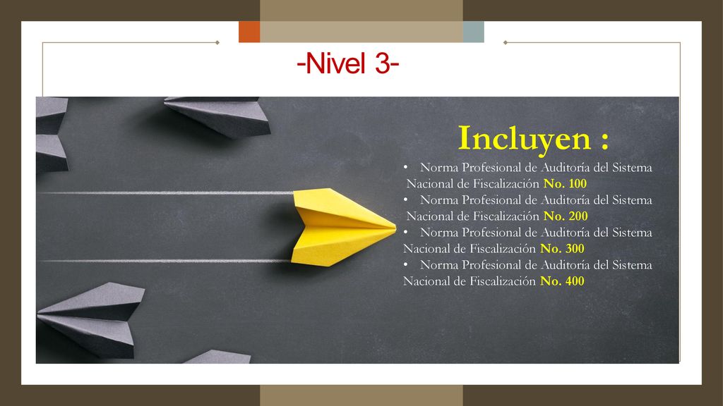 -Nivel 3- Incluyen : Norma Profesional de Auditoría del Sistema