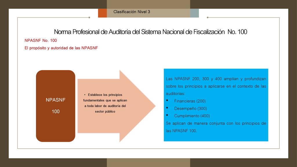 Clasificación Nivel 3 Norma Profesional de Auditoría del Sistema Nacional de Fiscalización No