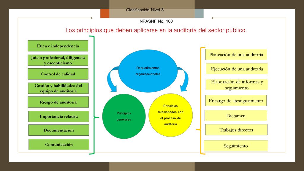Los principios que deben aplicarse en la auditoría del sector público.