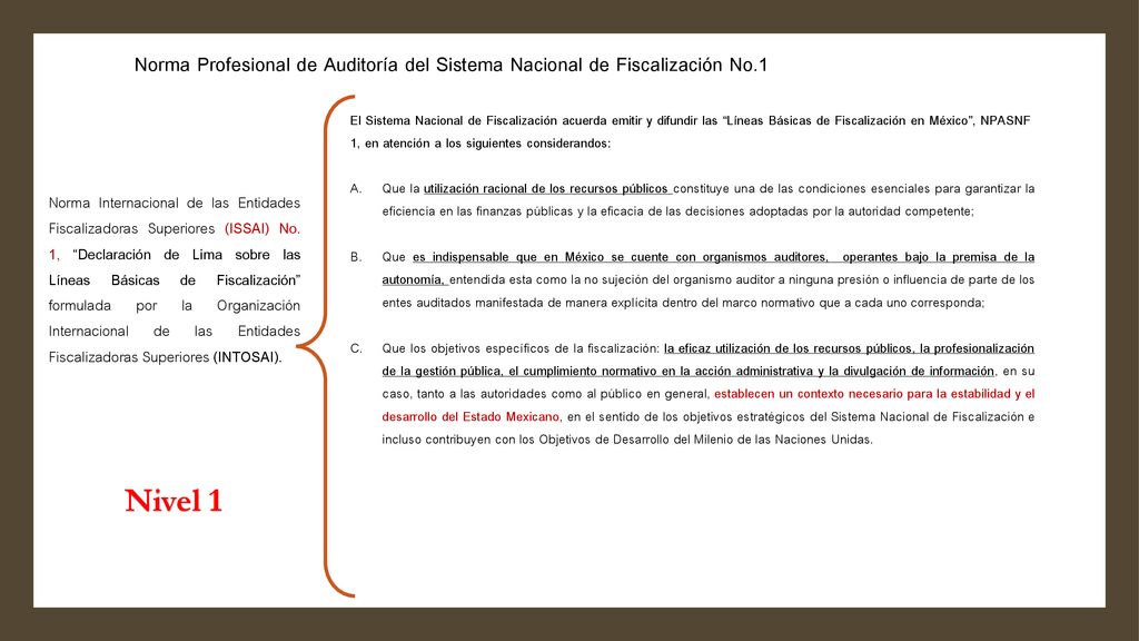 Norma Profesional de Auditoría del Sistema Nacional de Fiscalización No.1