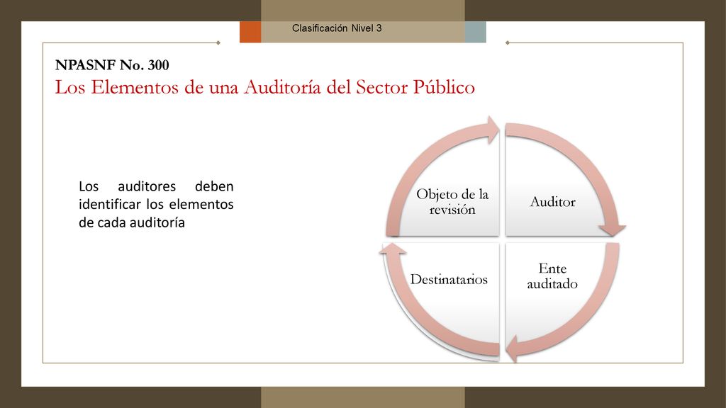 Los Elementos de una Auditoría del Sector Público